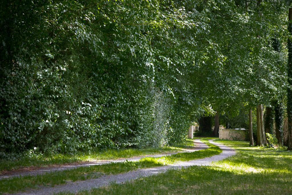 Magnifique Chateau Renove Proche Bourg Grand Parc Belle Terrasse Billard, Ping Pong, Proche Bayeux Et Plages Du Debarquement Tilly-sur-Seulles Экстерьер фото